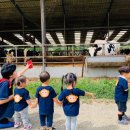 영아목장 이미지