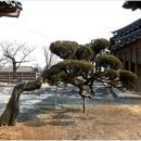 수성사 이미지