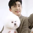 인디안광고 이미지