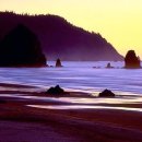 바다에 누워 이미지