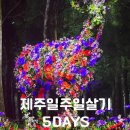 제주일주일살기 5DAYS 제주 아르떼뮤지엄 아이랑 애월놀거리