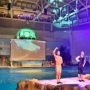 오션 아레나 이미지