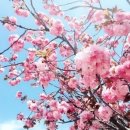 세일정밀 이미지