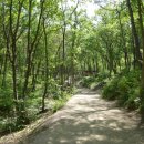 부산치유의숲 방문자센터 이미지