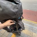 디오컴 | 신기한 일이 많이 일어나네