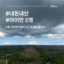 삼남매과일마트 | 육상투어 비용 총정리: 초콜릿힐 입장료 꿀팁, 로복강 투어 과감히 패스한 이유!(feat.ICM몰 과일하게))