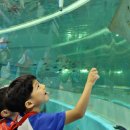 국립해양박물관 공연장 이미지