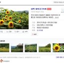 (주) 컬투플라워