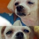 노크노크 이미지