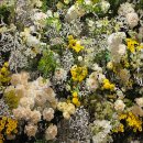 메리엘 | 세인트 메리엘 계약 후기