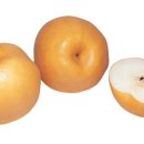 승제한의원 이미지