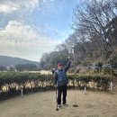 영강체육공원 그라운드골프 | “파크골프와 관광 다 잡은 ⛳ 대마도에서 2일 내내 파크골프 친 진짜 원정여행”