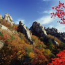 단풍 - 문경시 당교10길 17-3 | 단풍
