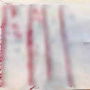 국제무역사 60회 후기 (한달 벼락치기 후기 😎, 광고X 내돈내산)