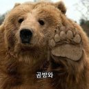 더 리얼 짐 이미지