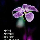 올림학원 - 서구 화개1로 55 | 올림학원