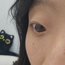 이쁜eye속눈썹 | (속눈썹 연장 추천)가산디지털단지역 부근에 위치한 eye보리뷰티 방문한 후기