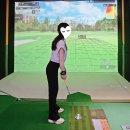 싱글로스크린골프 이미지