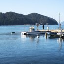 황덕도항 이미지