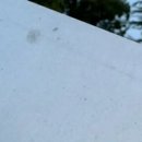 사이버 클럽 이미지