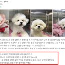 평촌동물병원 이미지