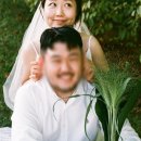 인세미 이미지