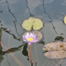 삼수리392 이미지