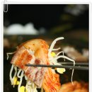 왕솥뚜껑흑돼지 이미지