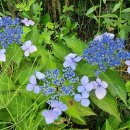 해훈식당 이미지