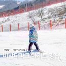 홍천 비발디파크 아지트 어린이 스키강습, 렌탈샵 후기