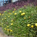 산양리 복지회관 이미지