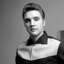 Elvis 이미지