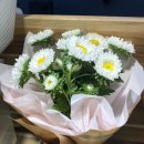 아트리미술교습소 이미지