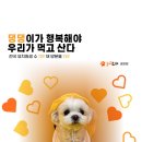 놀러오개 송파점 이미지