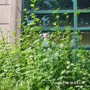 참물샘공원 이미지