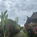 함께 한 8박 10일 발리 &amp; 싱가포르 여행(6) _ 5일차 발리 일정, 카르사 스파 예약, 산카라 리조트, 발리...