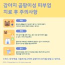 대흥동물병원 이미지