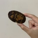 커피퍽 이미지