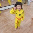 광명연세정도태권도장 이미지