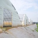 광영농장 이미지