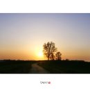 안성목장 이미지