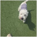 호텔아로하 이미지