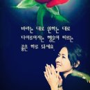 향기5로 이미지