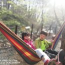 삼정 야영장 이미지