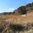 포항시남구23 이미지