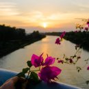 대서행정사 이미지