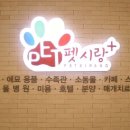펫사랑일산점 Daum카페