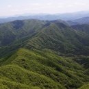 6월 13일(수) "투표 하시고 2시간 늦게 역순 출발" 경기/가평 축령백림 축령산 산행 안내 이미지