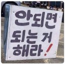 시작하는 일주일
