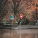 모락로 | 우리 집 비상! 하수구 때문에 웃음꽃이 시들 뻔했어요